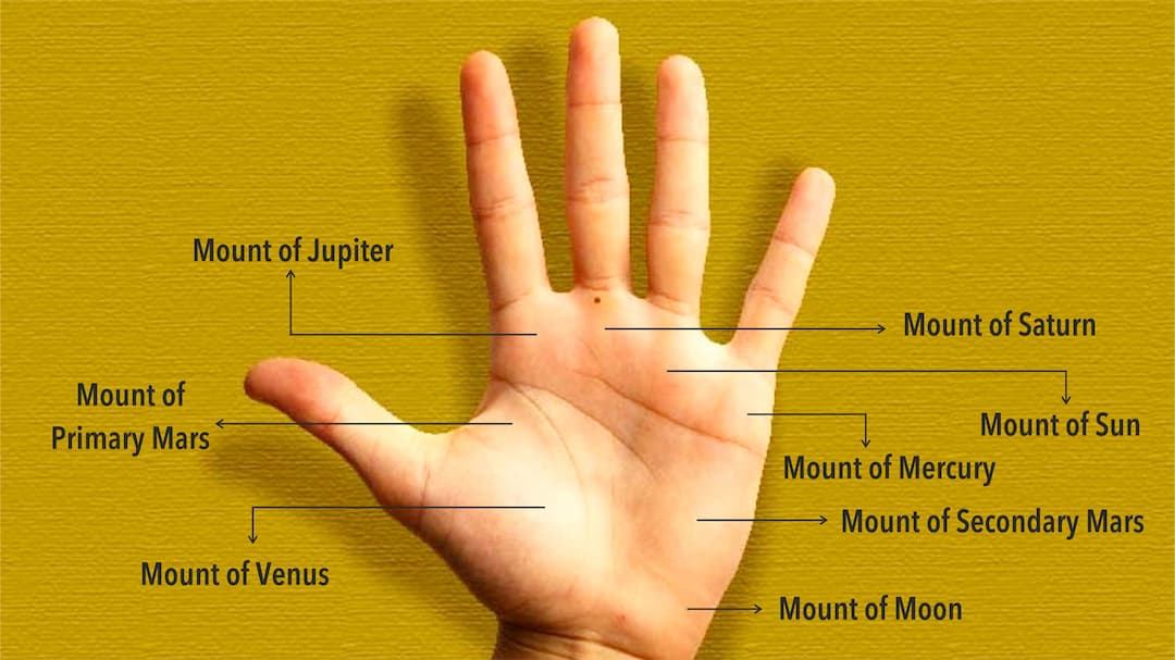 What is The Meaning of Mole in Palm? Know The Astrological Importance What is The Meaning of Mole in Palm? Know The Astrological Importance
